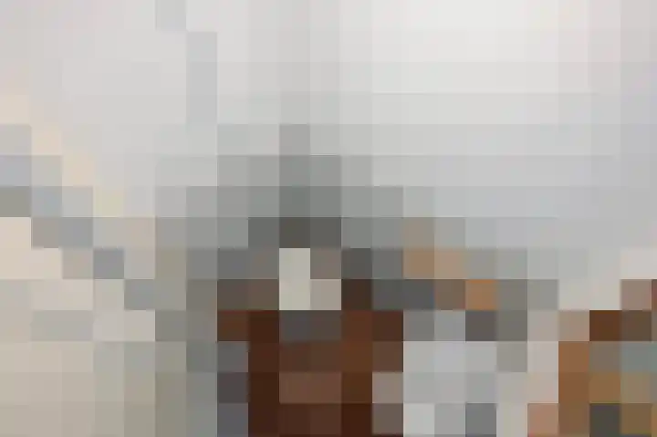 Oranjelaan 85 Rijswijk thumbnail 7