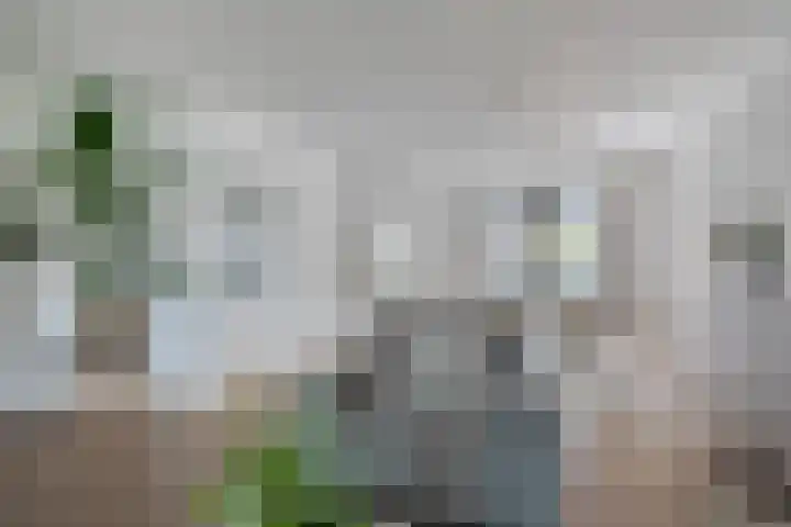 Oranjelaan 88 Nunspeet thumbnail 11