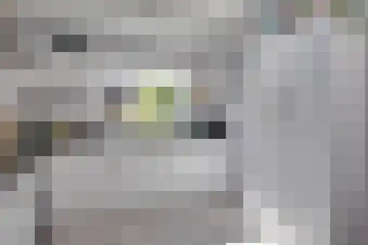Oranjelaan 88 Nunspeet thumbnail 16