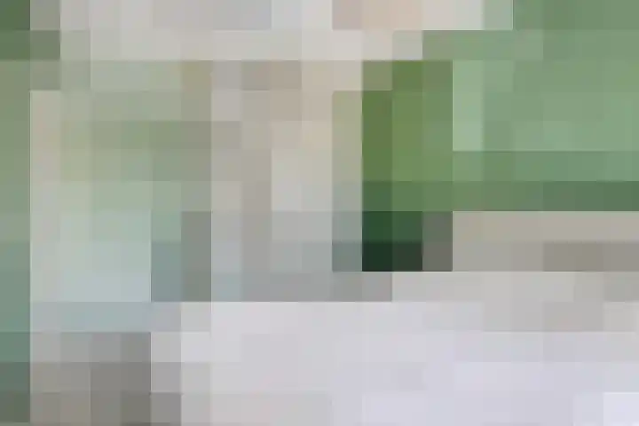Oranjelaan 88 Nunspeet thumbnail 22