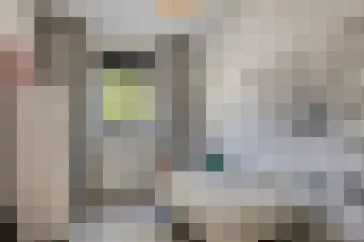 Oranjelaan 88 Nunspeet thumbnail 25