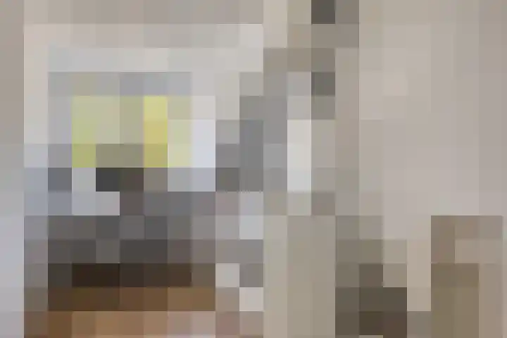 Oranjelaan 88 Nunspeet thumbnail 28