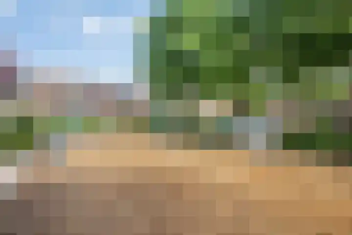 Oranjelaan 88 Nunspeet thumbnail 35
