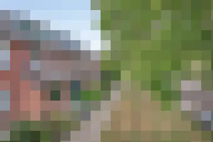 Oranjelaan 88 Nunspeet thumbnail 36