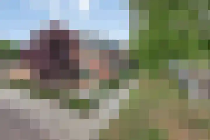 Oranjelaan 88 Nunspeet thumbnail 37