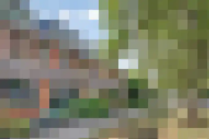 Oranjelaan 88 Nunspeet thumbnail 5