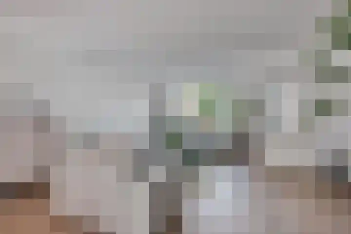 Oranjelaan 88 Nunspeet thumbnail 9