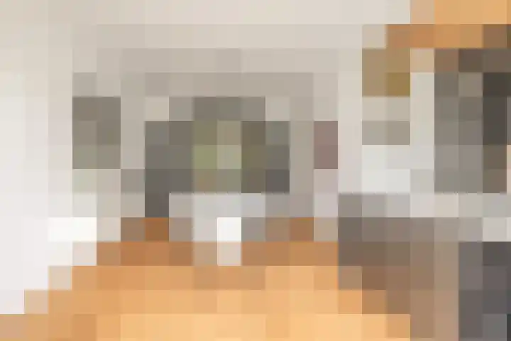 Oranjelaan 9 Rotterdam thumbnail 10