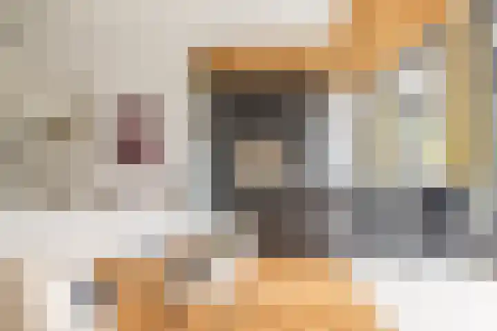 Oranjelaan 9 Rotterdam thumbnail 13