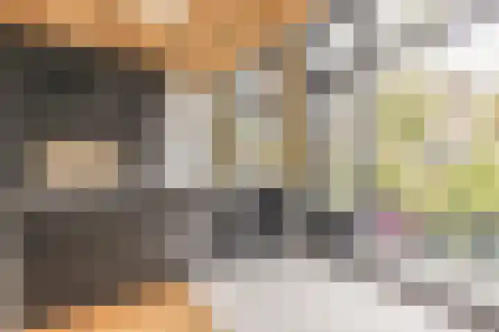 Oranjelaan 9 Rotterdam thumbnail 14
