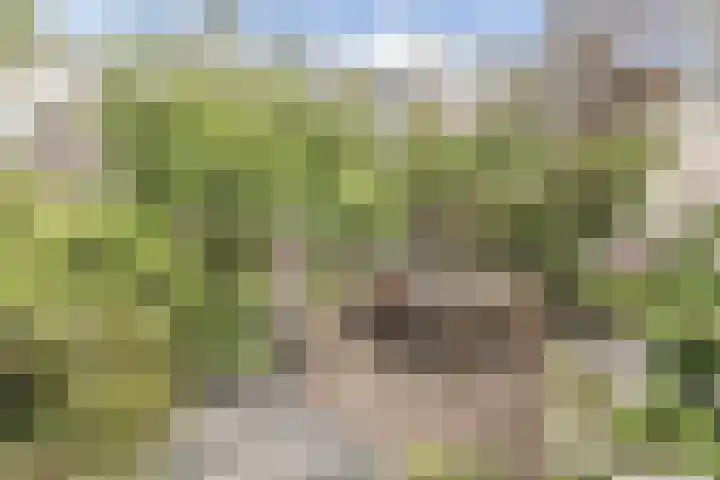 Oranjelaan 9 Rotterdam thumbnail 15
