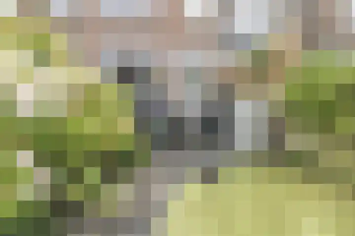 Oranjelaan 9 Rotterdam thumbnail 17