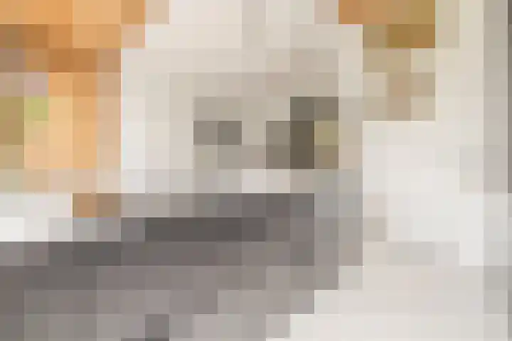 Oranjelaan 9 Rotterdam thumbnail 18