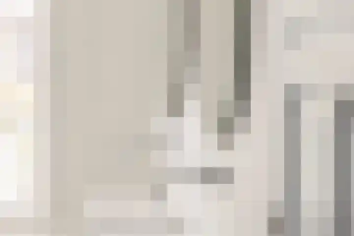 Oranjelaan 9 Rotterdam thumbnail 34