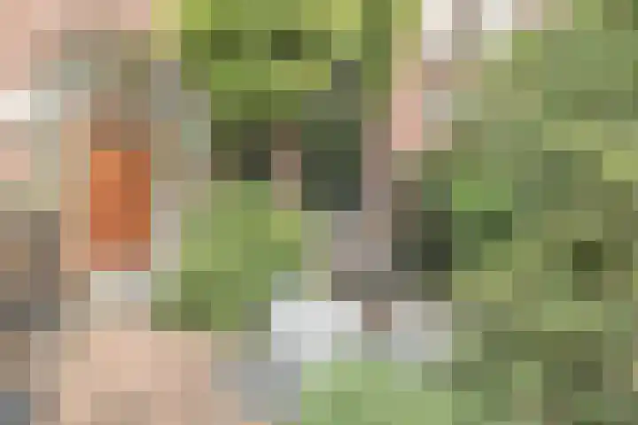 Oranjelaan 9 Rotterdam thumbnail 4
