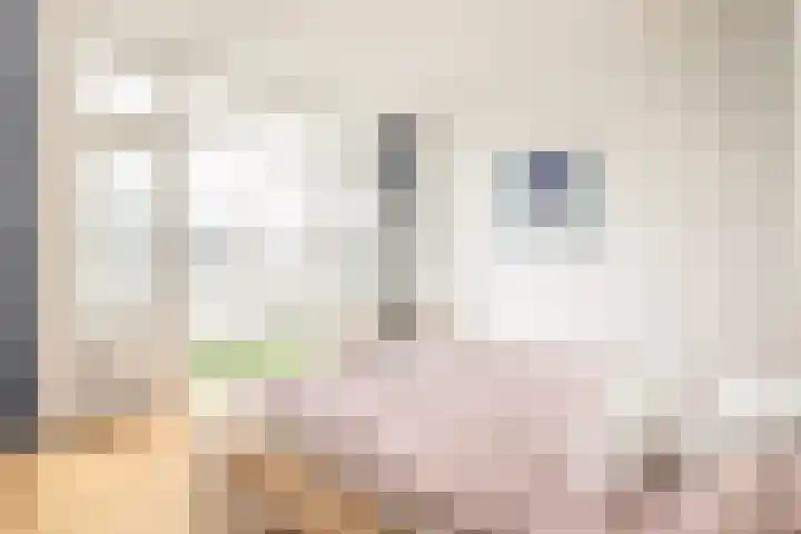 Oranjelaan 9 Rotterdam thumbnail 40