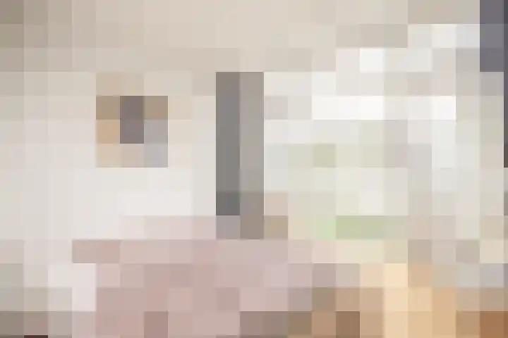 Oranjelaan 9 Rotterdam thumbnail 41