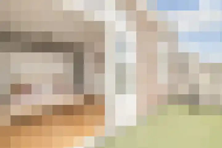 Oranjelaan 9 Rotterdam thumbnail 43