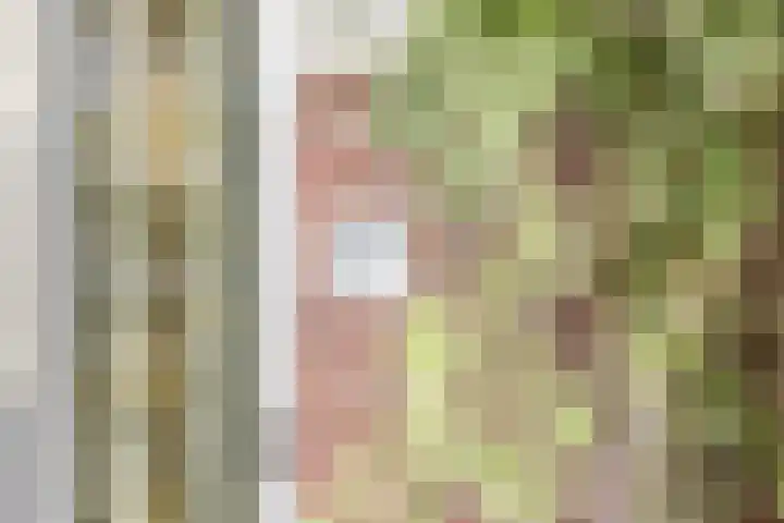 Oranjelaan 9 Rotterdam thumbnail 5