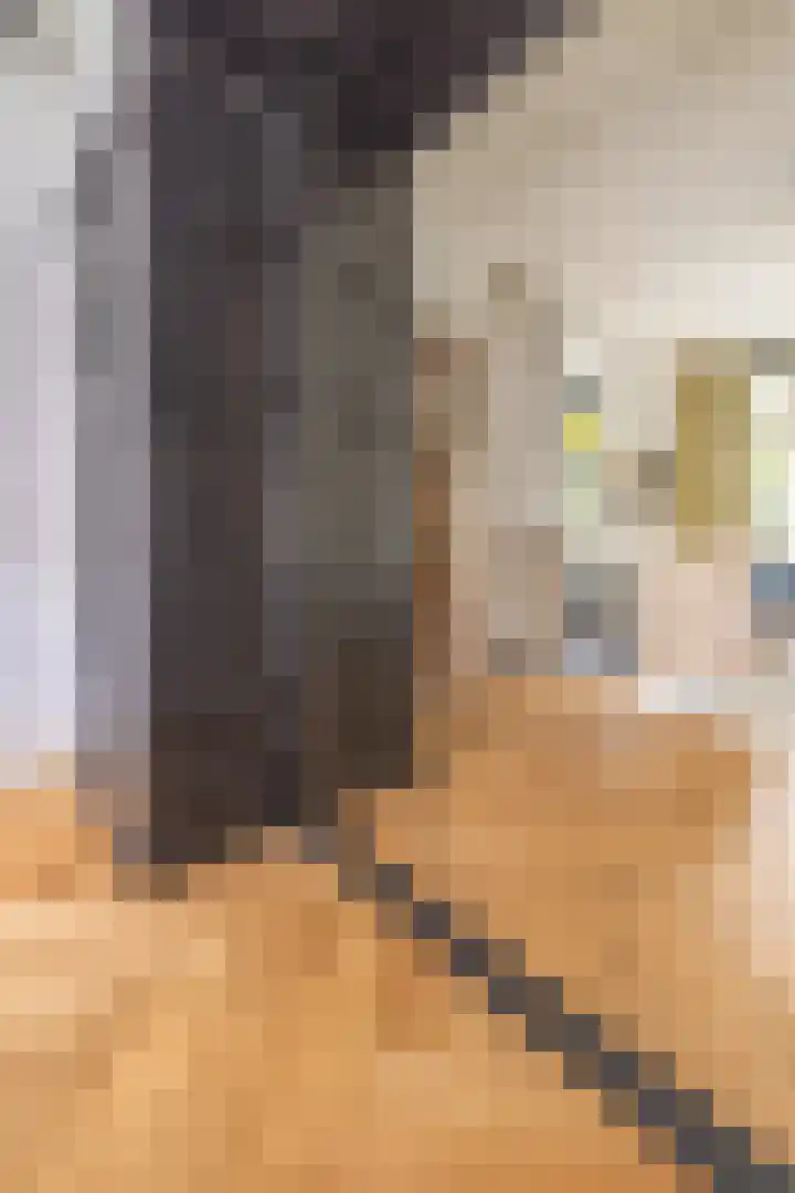 Oranjelaan 9 Rotterdam thumbnail 8