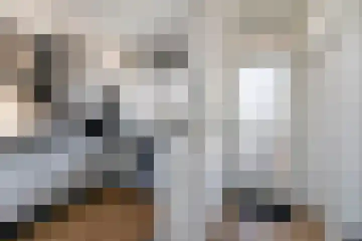 Oranjelaan 9 Zoetermeer thumbnail 14