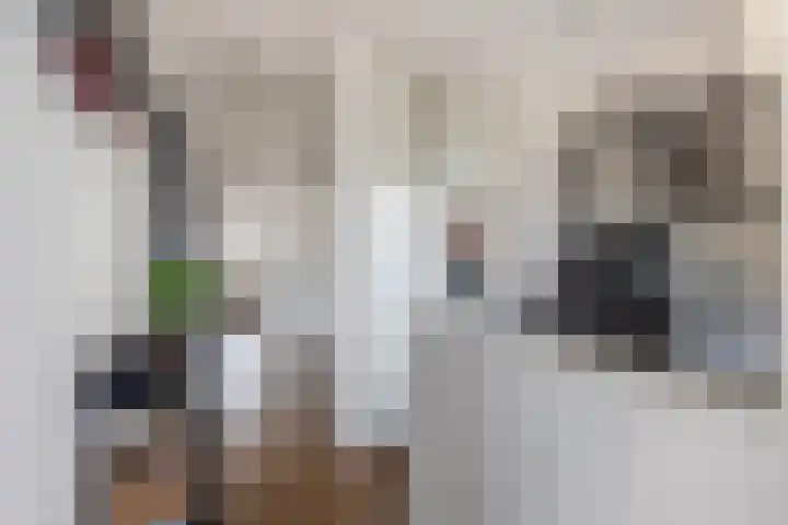Oranjelaan 9 Zoetermeer thumbnail 15