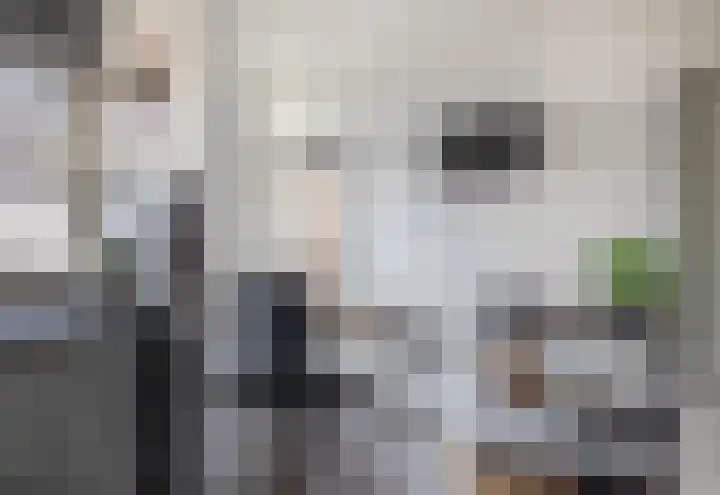 Oranjelaan 9 Zoetermeer thumbnail 18