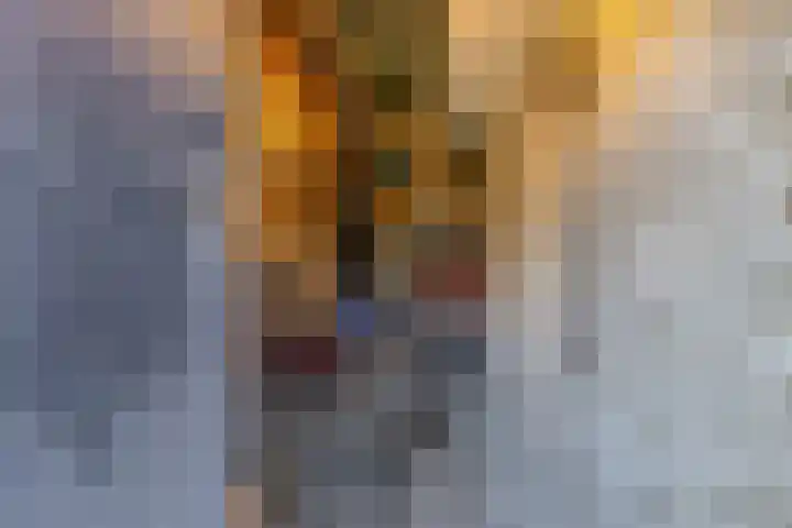 Oranjelaan 9 Zoetermeer thumbnail 31