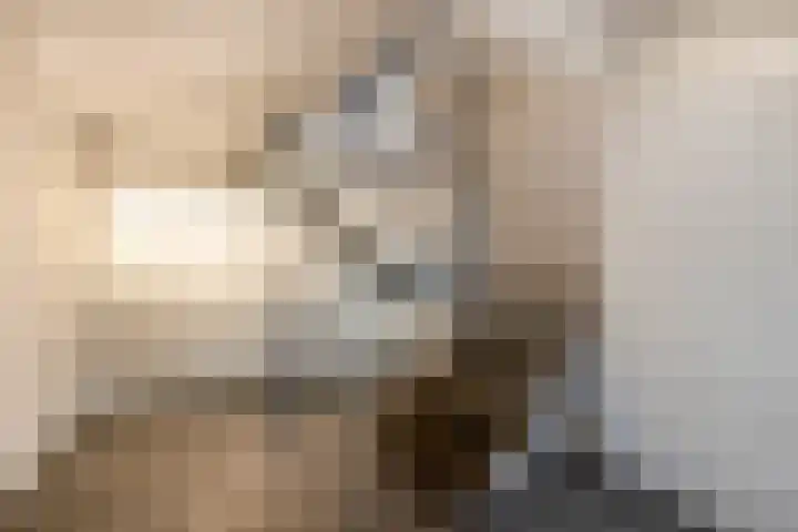 Oranjelaan 9 Zoetermeer thumbnail 34