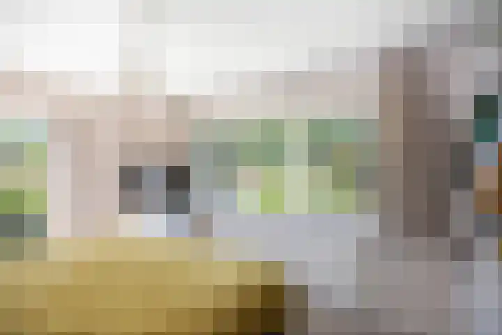 Oranjelaan 90 Diepenveen thumbnail 19