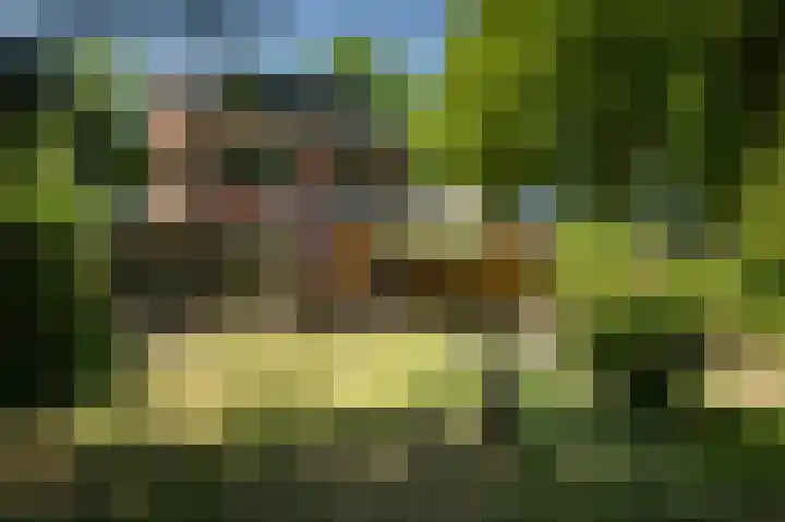 Oranjelaan 90 Diepenveen thumbnail 31