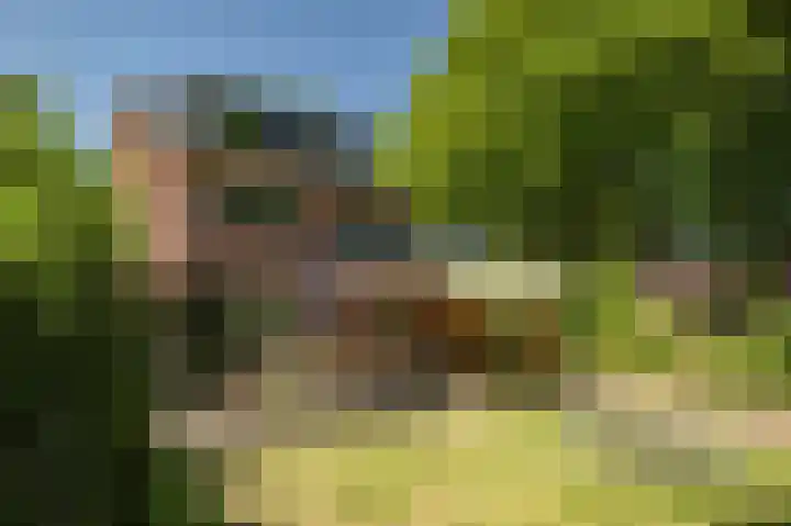 Oranjelaan 90 Diepenveen thumbnail 32