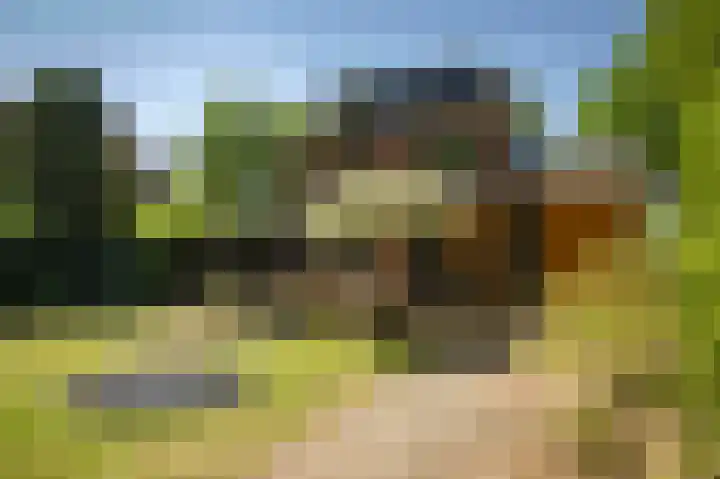 Oranjelaan 90 Diepenveen thumbnail 33