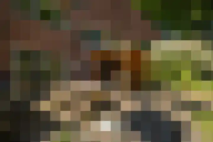 Oranjelaan 90 Diepenveen thumbnail 34