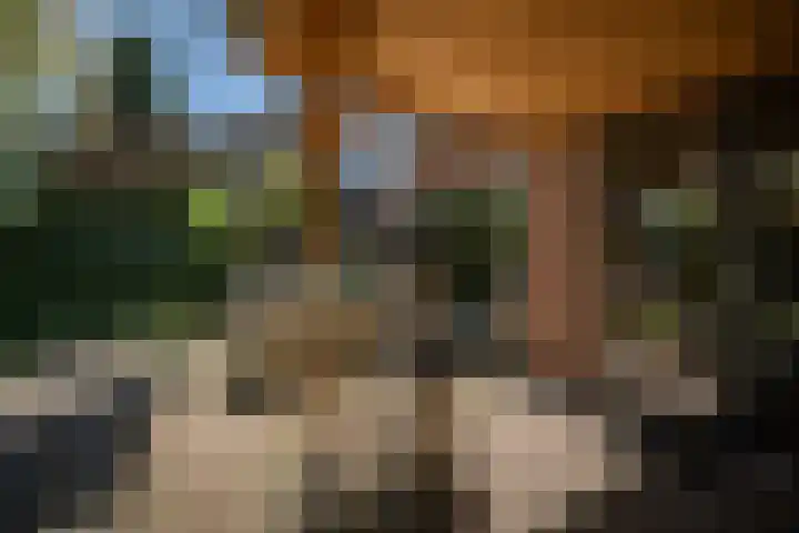 Oranjelaan 90 Diepenveen thumbnail 35