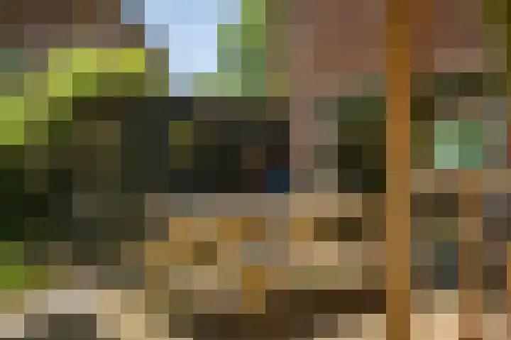 Oranjelaan 90 Diepenveen thumbnail 36