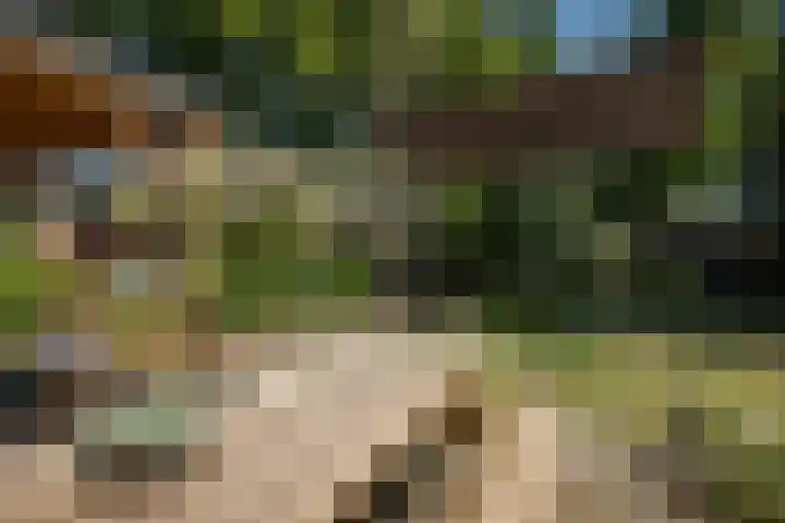 Oranjelaan 90 Diepenveen thumbnail 37