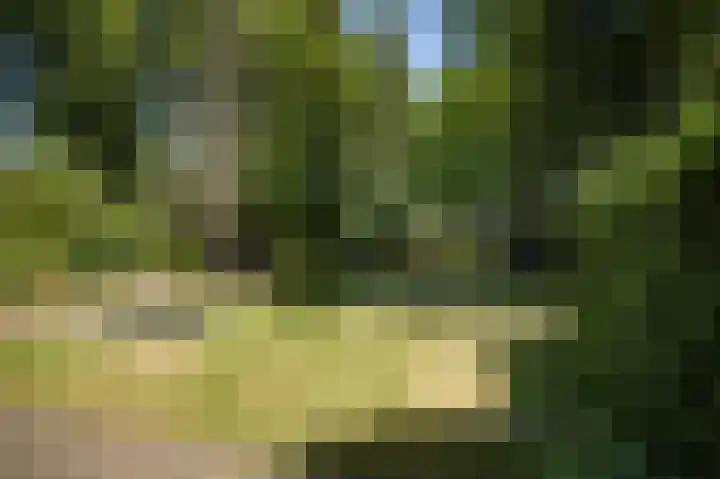 Oranjelaan 90 Diepenveen thumbnail 38
