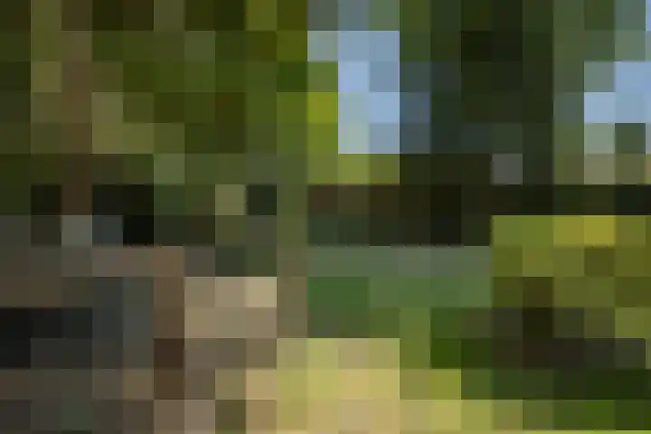 Oranjelaan 90 Diepenveen thumbnail 39