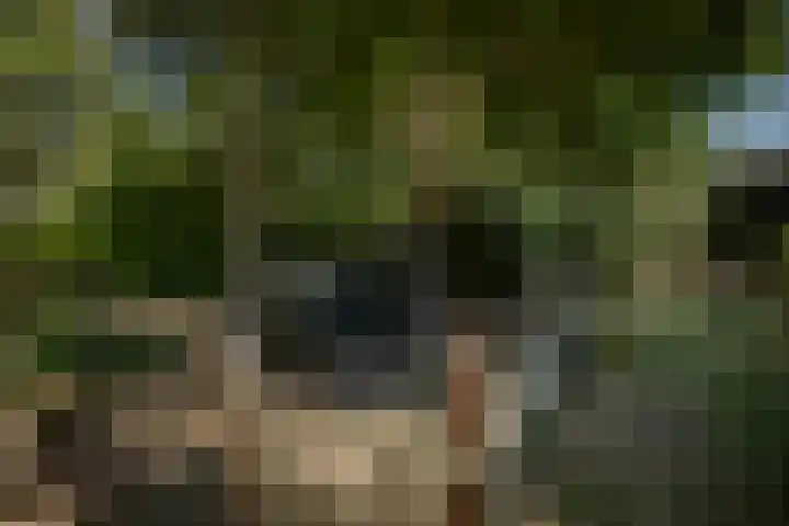Oranjelaan 90 Diepenveen thumbnail 40