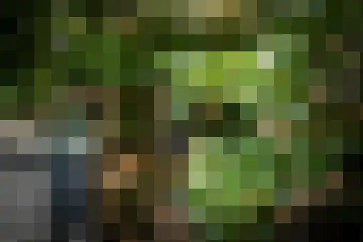 Oranjelaan 90 Diepenveen thumbnail 41