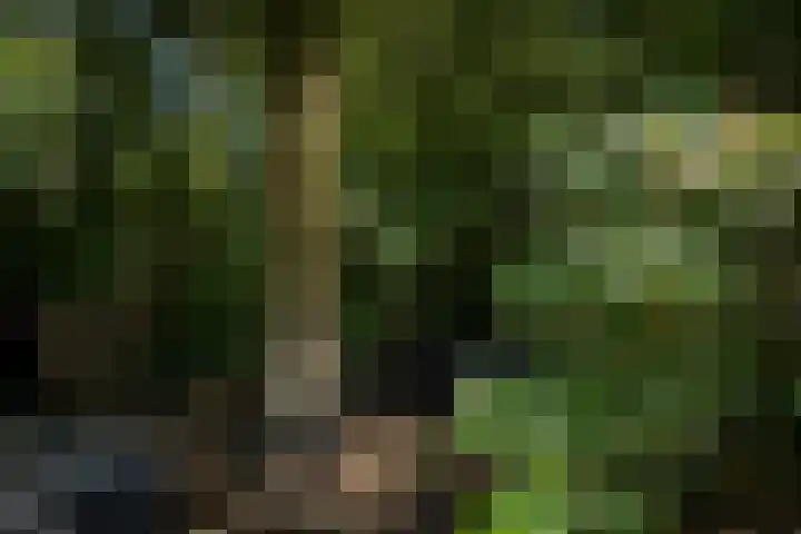Oranjelaan 90 Diepenveen thumbnail 42