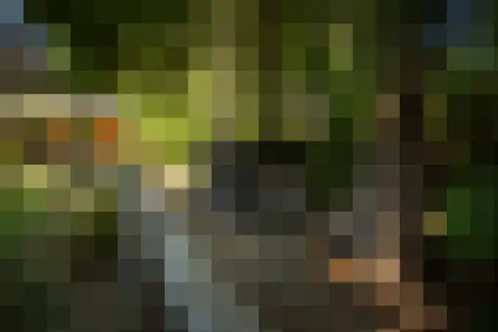 Oranjelaan 90 Diepenveen thumbnail 43