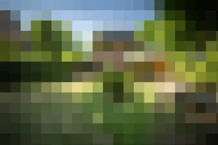 Oranjelaan 90 Diepenveen thumbnail 44