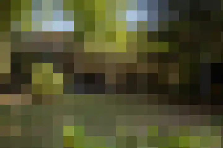 Oranjelaan 90 Diepenveen thumbnail 45