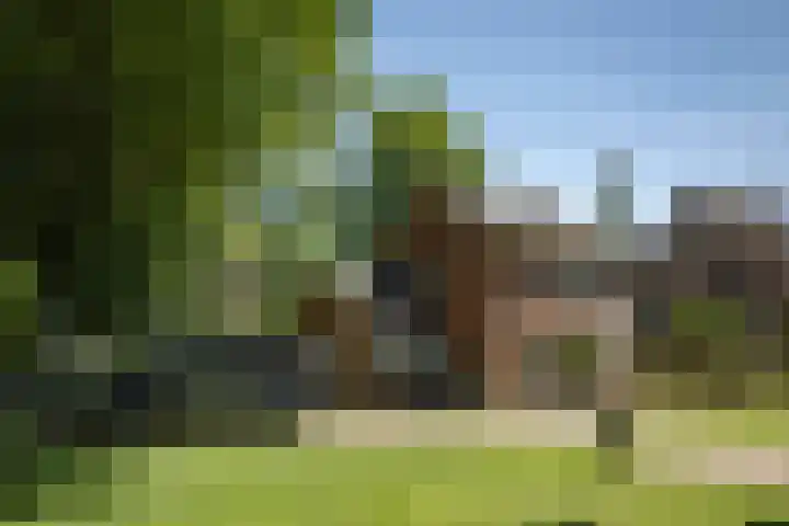 Oranjelaan 90 Diepenveen thumbnail 46