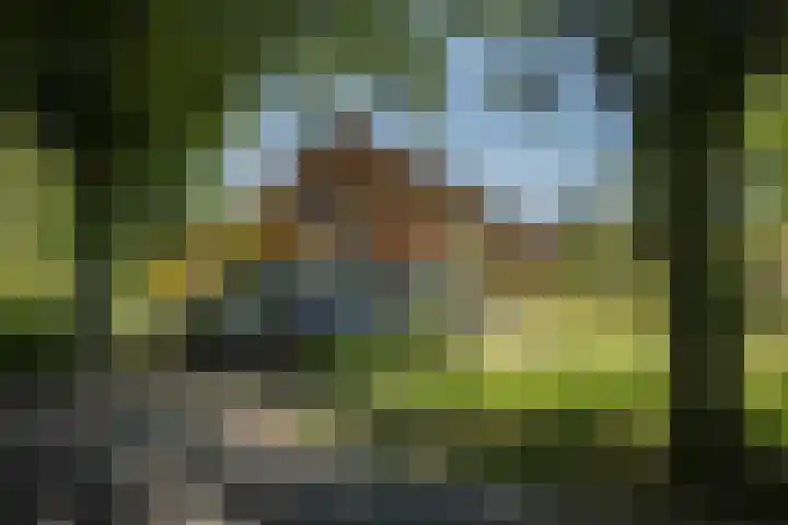 Oranjelaan 90 Diepenveen thumbnail 47