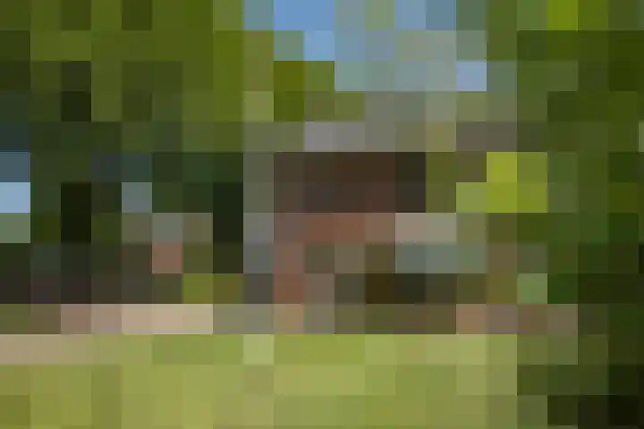 Oranjelaan 90 Diepenveen thumbnail 48