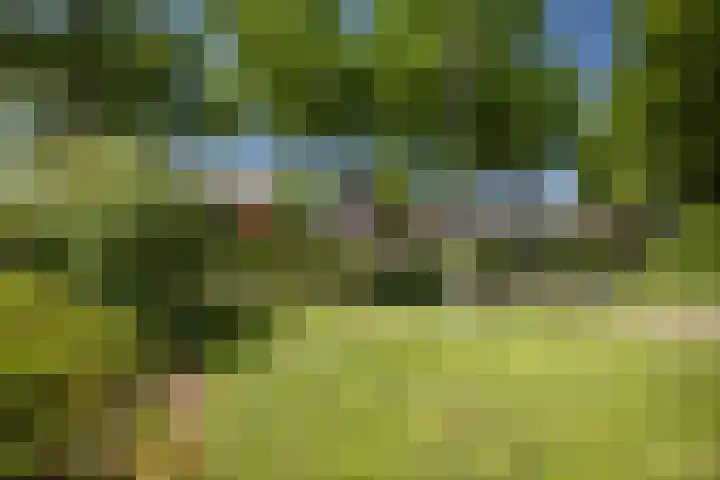 Oranjelaan 90 Diepenveen thumbnail 49
