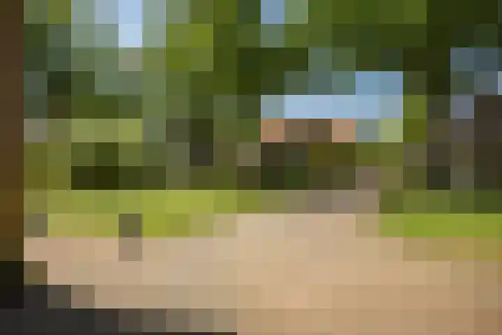Oranjelaan 90 Diepenveen thumbnail 50